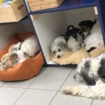 Büronormalwahnsinn