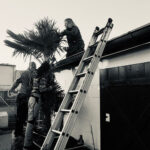 Mal eine andere Perspektive im Palme winterfest verpacken- geminesam schaffen wir auch neue Herausforderungen