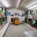 alles für die Katz