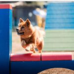 HufreuFreigerichtFest_Gal9