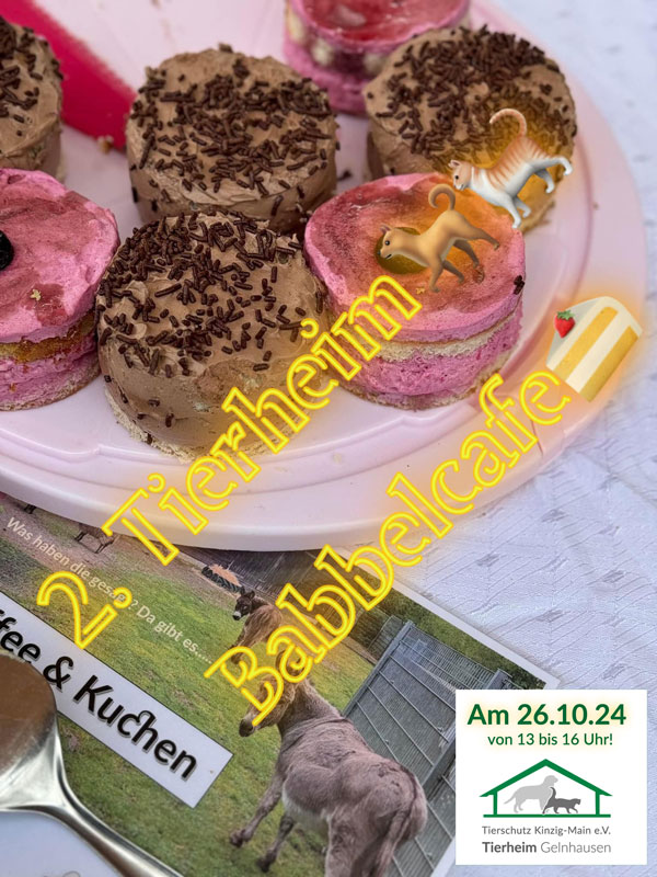 Du betrachtest gerade 2. Tierheim-Babbelcafé am 26.10.24 ab 13 Uhr