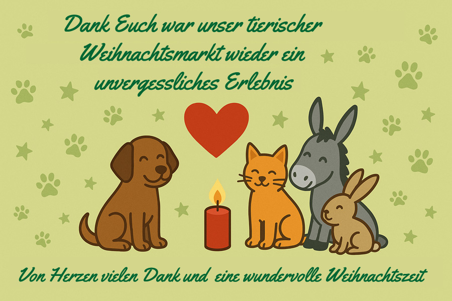Du betrachtest gerade Ein wundervoller Weihnachtsmarkt – DANKE